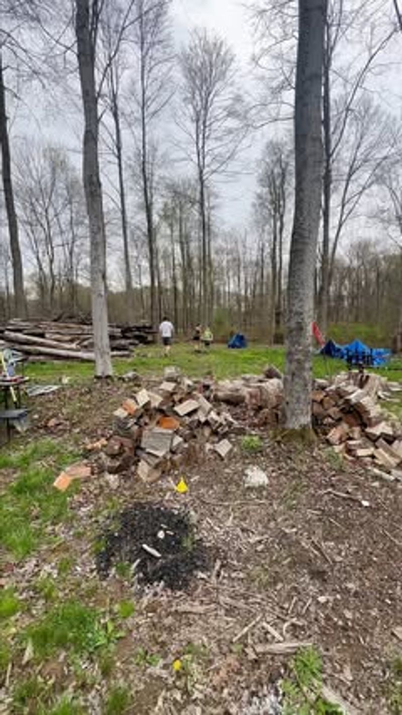 Some yard clutter may provide shelter or coincide with host activity
