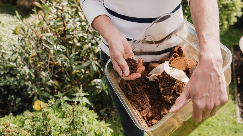 Sprinkle Coffee Grounds Around the Base