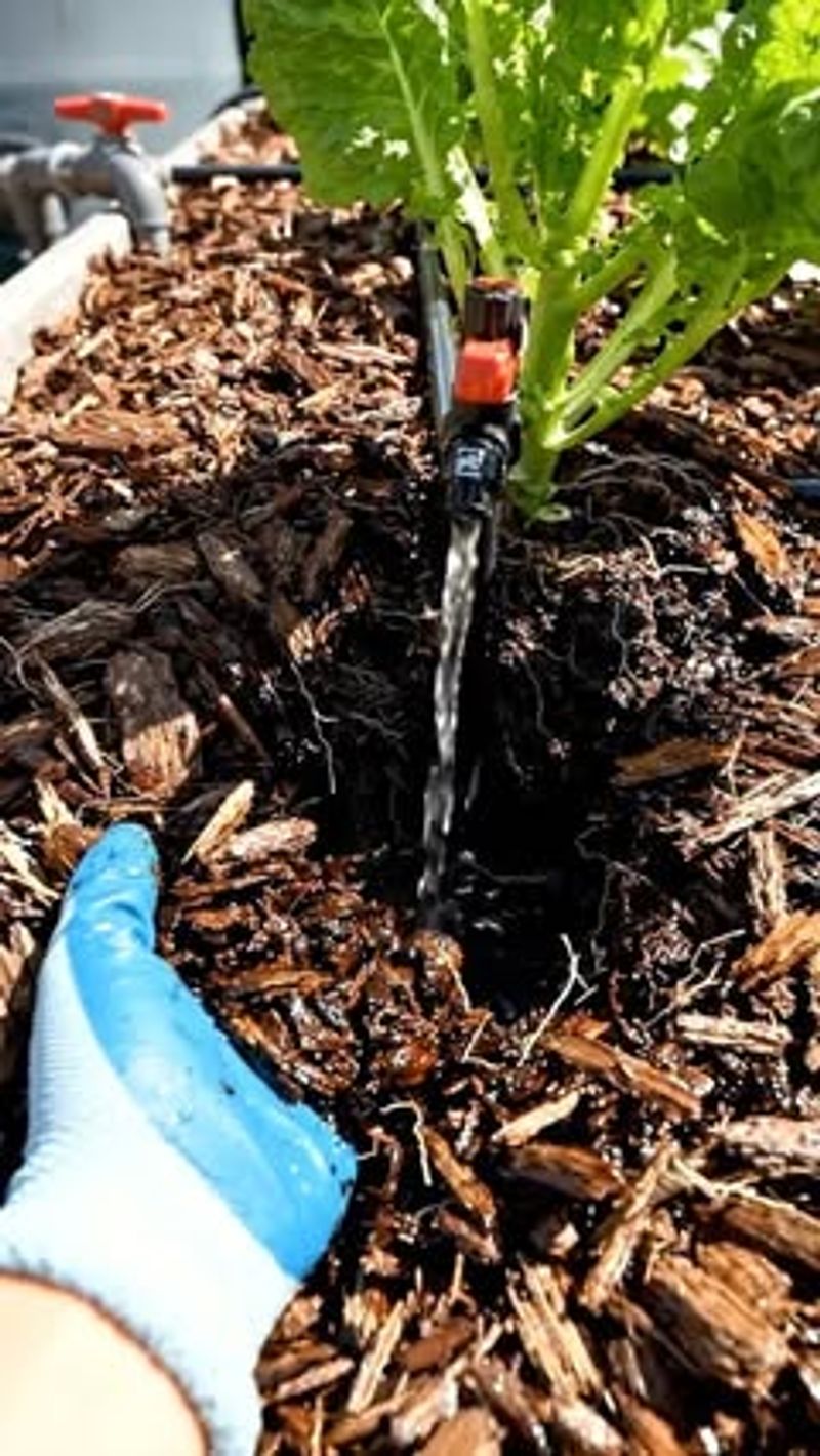 Stabilize moisture without waterlogging the plant