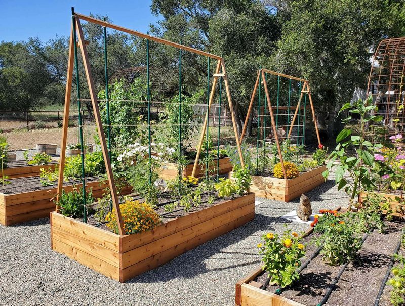 Match the support to the harvest you want