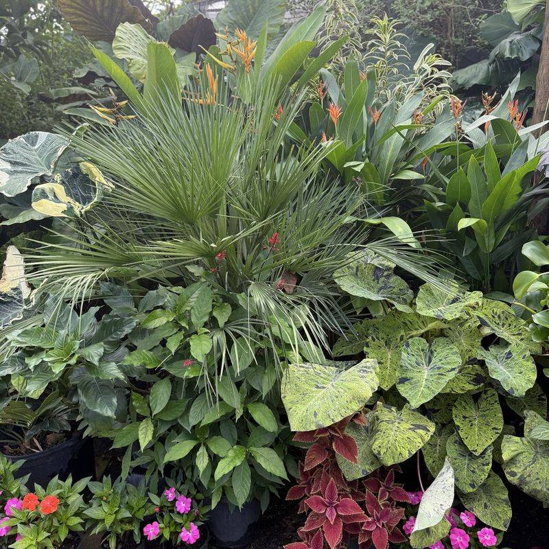 Little Red Wagon Native Nursery (Homestead)