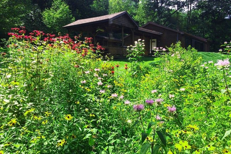 Support birds while managing exposure in high-use spaces Support birds while managing exposure in high-use spaces