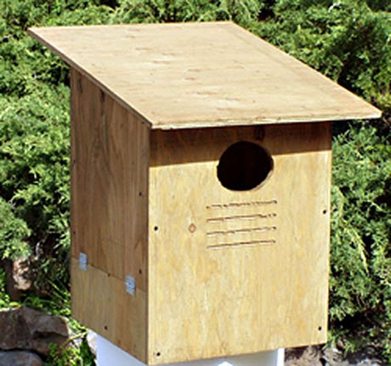 Support the owl without asking it to replace a pest plan