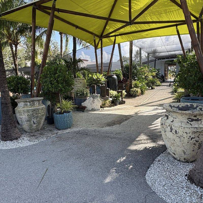 Meadow Beauty Nursery (Lake Worth)