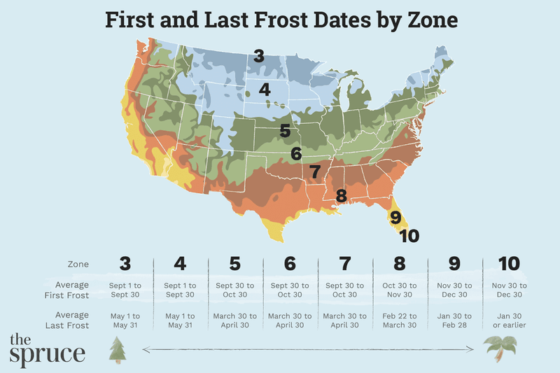 Texas Has Several Fall-Garden Calendars