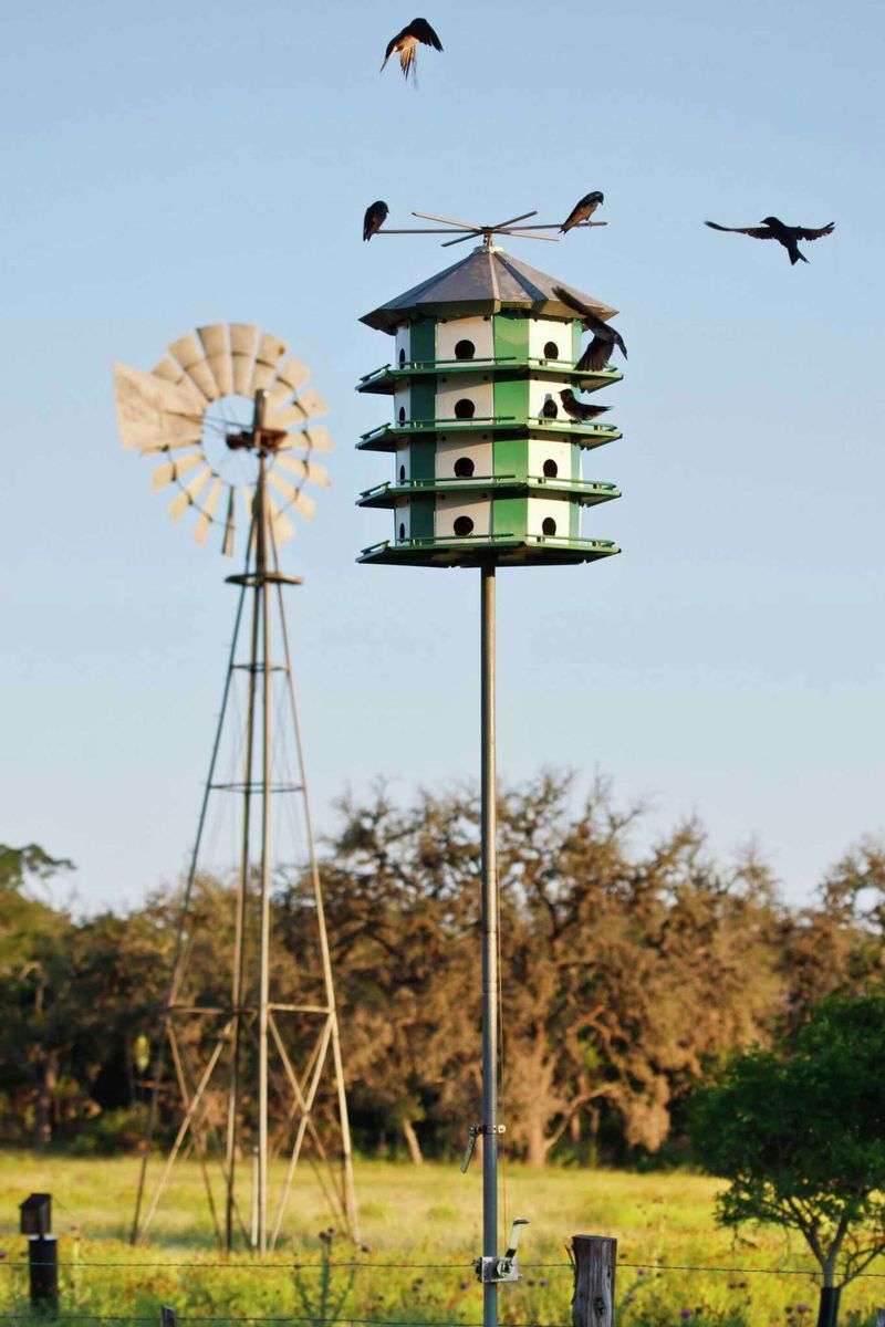 Texas Offers Martins a Housing Opportunity Texas Offers Martins a Housing Opportunity