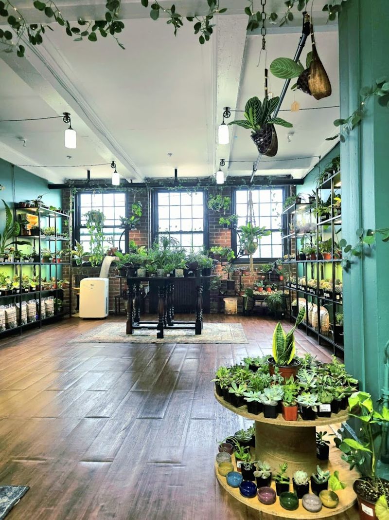 A Curated Selection Worth the Drive