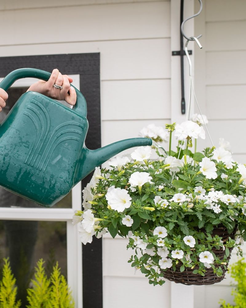 Watering Rhythm That Beats the Two O'Clock Slump