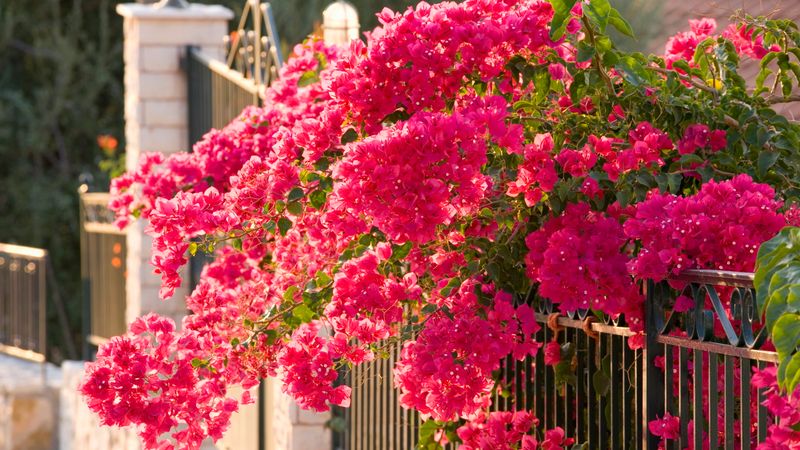 The July Reset Is Simple: More Sun, Less Saturation, Fewer Wrong Turns