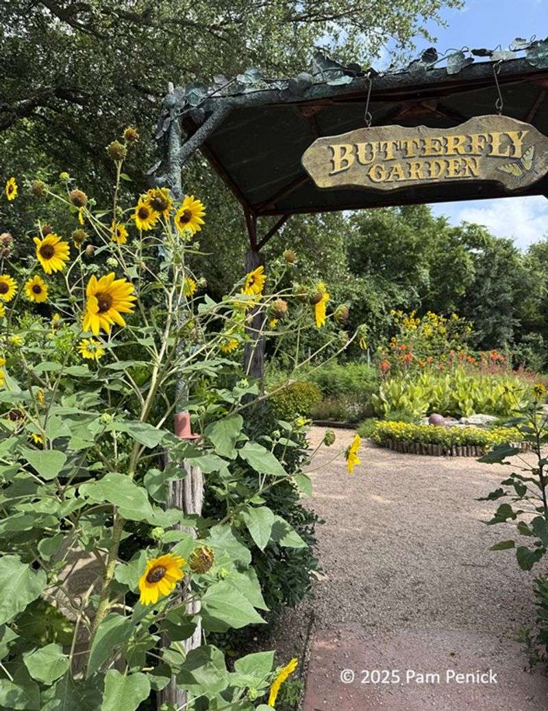 The Natural Gardener (Austin)