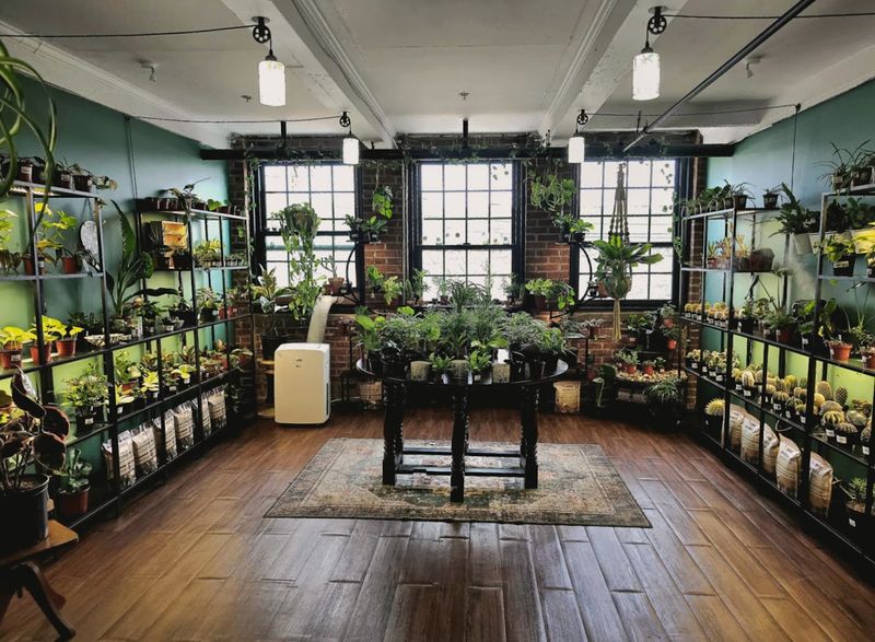 A Small Garden Center Tucked Into Norwood