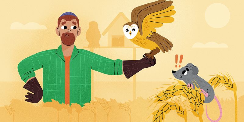 The Texas prey question: not every rodent is a household rat