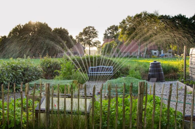 The Worst Time of Day to Water Your Garden Can Backfire in the Summer Heat