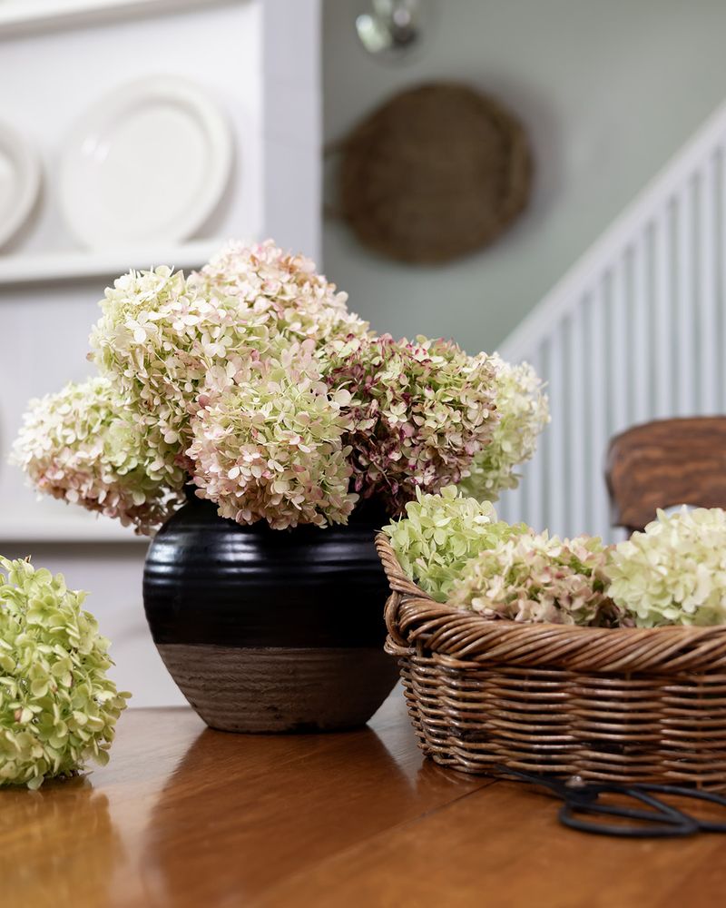 Natural Aging of the Blooms