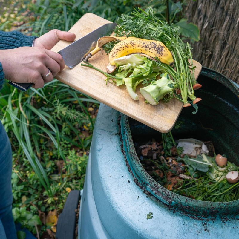 Treat kitchen scraps as compost inputs, not instant plant food Treat kitchen scraps as compost inputs, not instant plant food
