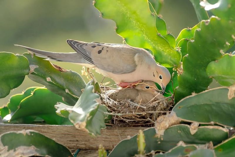 Treat the recurring nest as useful feedback, not a verdict