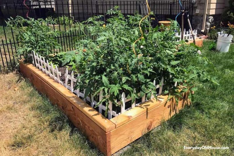 Dosing Without Ever Testing Your Soil