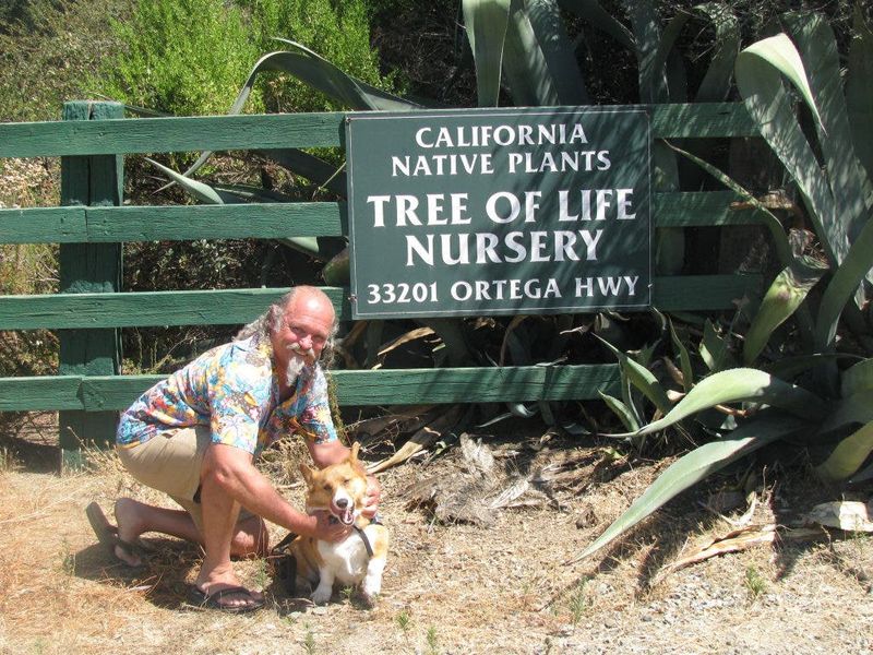 Tree of Life Nursery (San Juan Capistrano) Tree of Life Nursery (San Juan Capistrano)