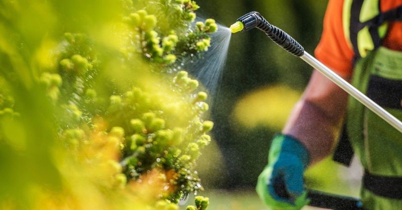 Use California IPM instead of relying on mantises