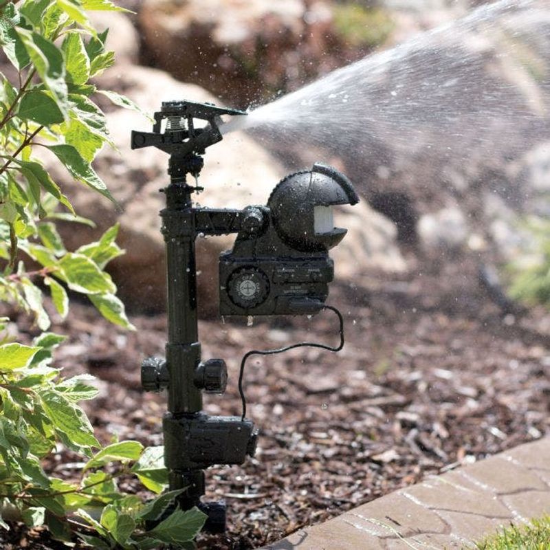 Spray Water or Use a Hose