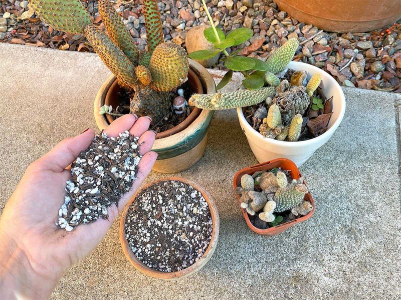 Use a controllable container and porous rooting medium