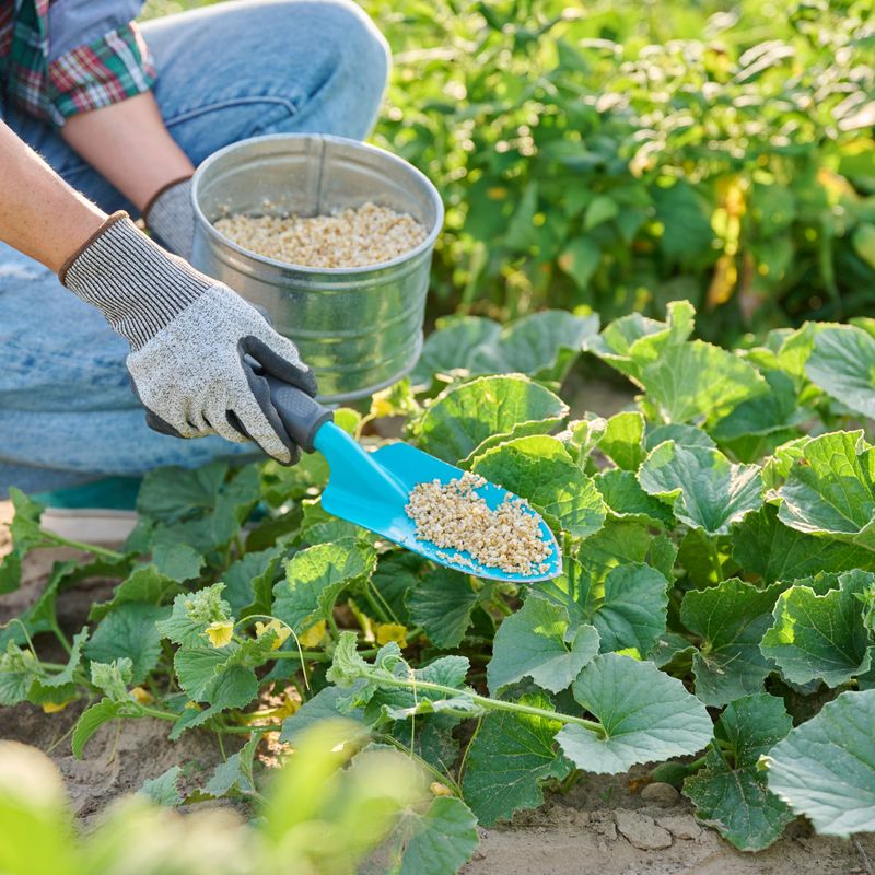 Use a measured side-dress only when nitrogen remains likely