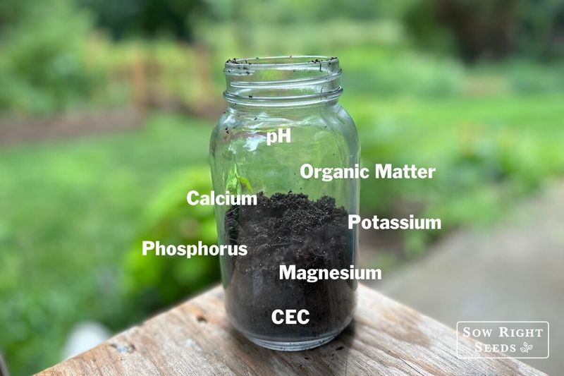Use a soil test to guide the next fertilizer decision Use a soil test to guide the next fertilizer decision