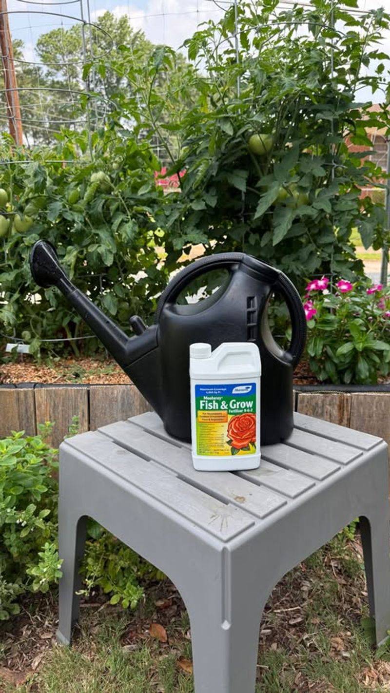 Use fish emulsion only when the plant needs nitrogen