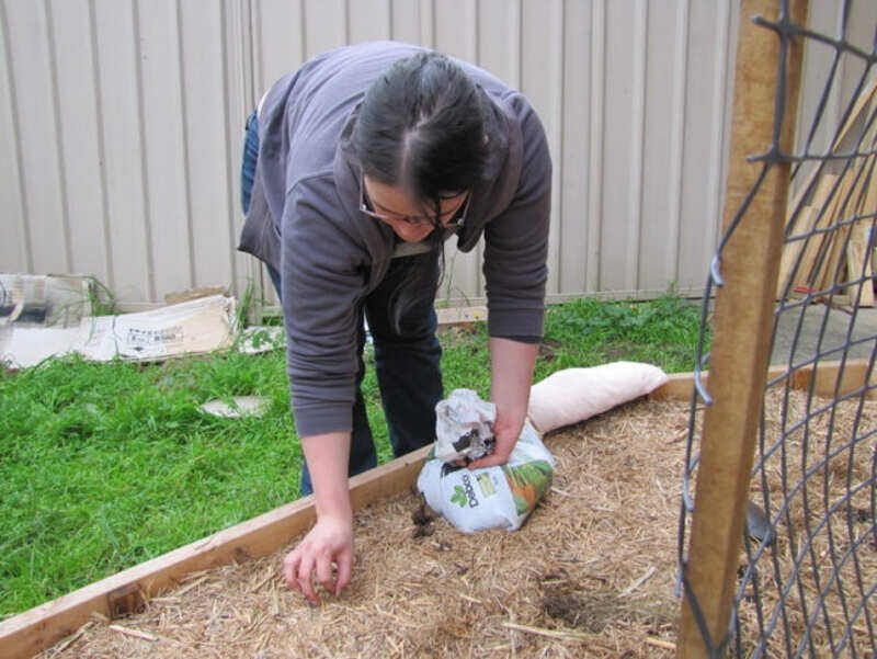 Use integrated pest management instead of outsourcing slug control to one toad