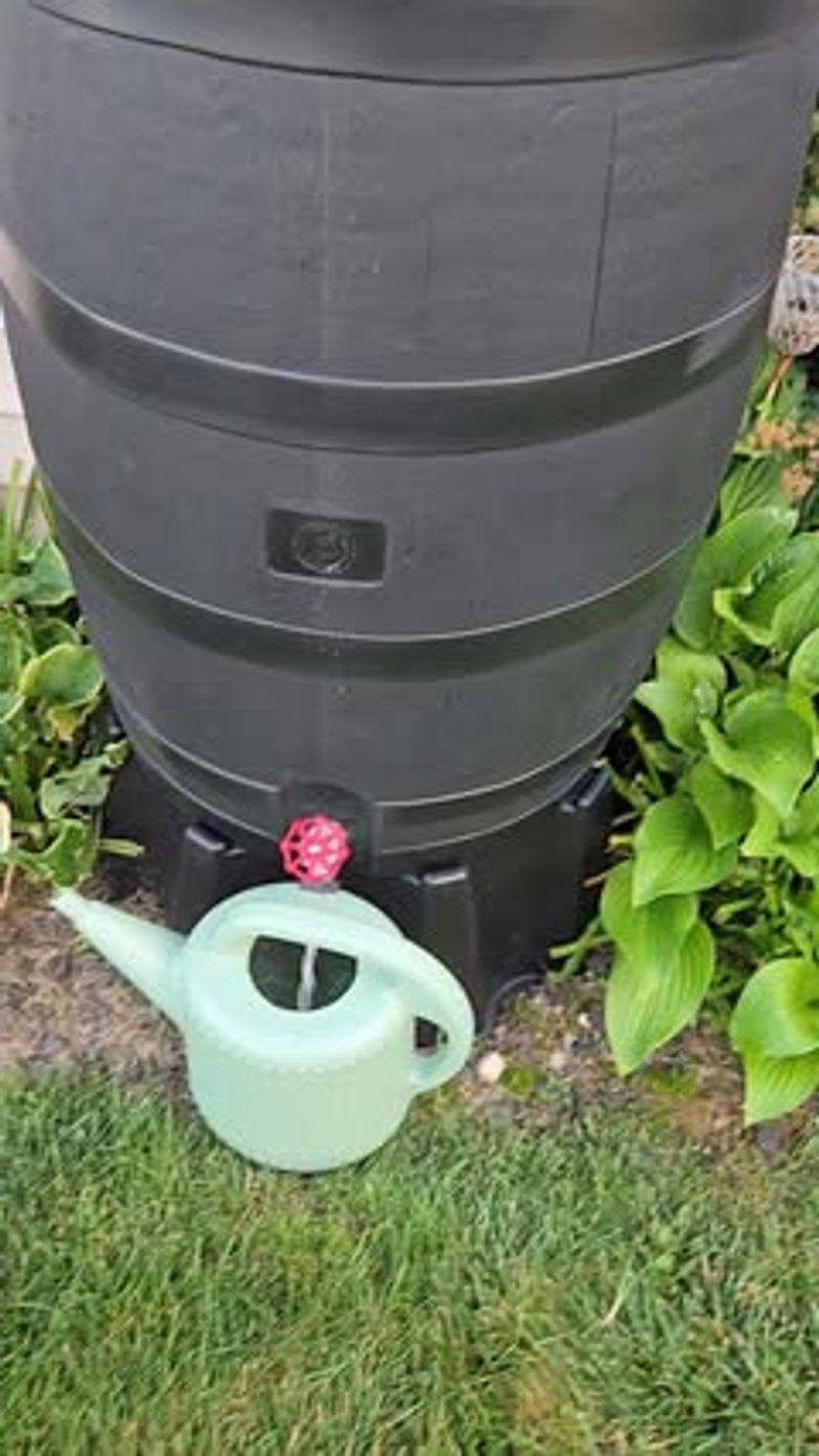 Use one barrel when the goal is easier supplemental watering Use one barrel when the goal is easier supplemental watering