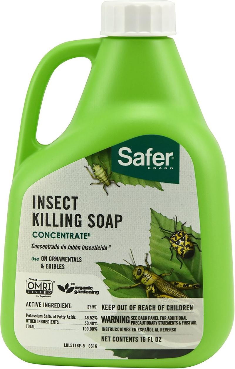 Use soaps and oils only under label-safe conditions Use soaps and oils only under label-safe conditions