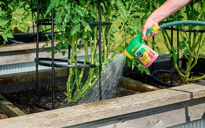 Use soil and weather to guide the next feeding