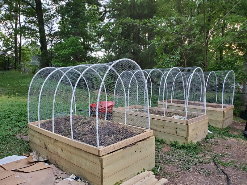 Use targeted barriers to protect vulnerable plants Use targeted barriers to protect vulnerable plants