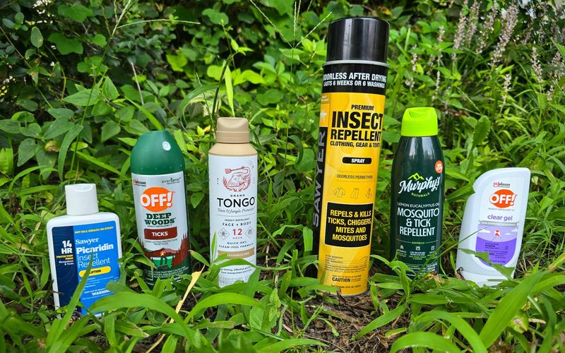 Use tested personal protection instead of beautyberry leaves Use tested personal protection instead of beautyberry leaves