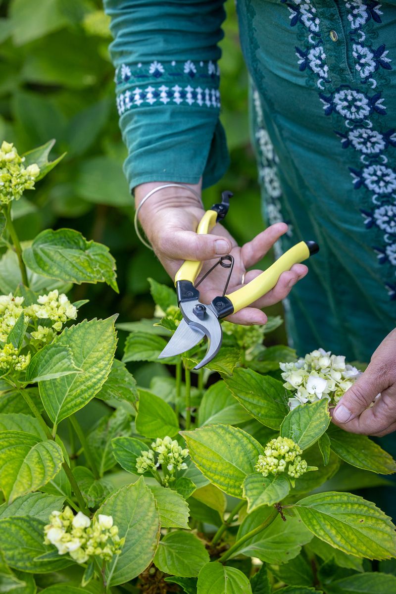 Use the reset to improve conditions and protect next year’s bloom