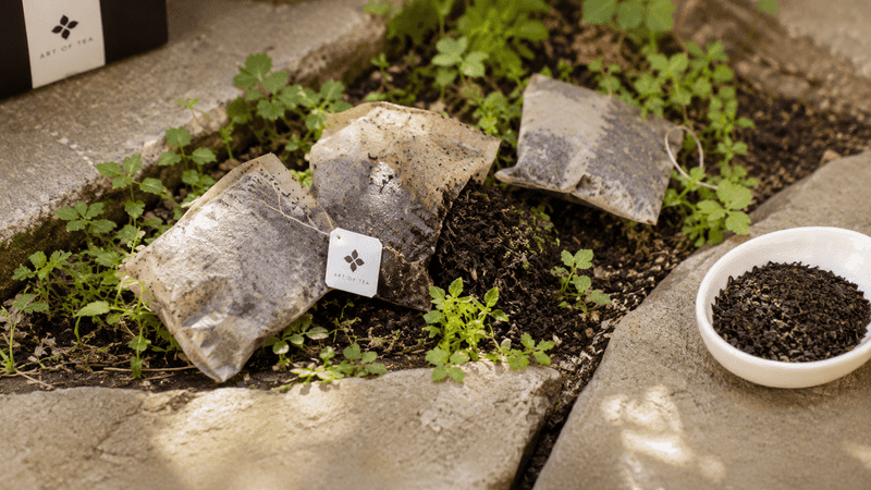 Used Tea Leaves