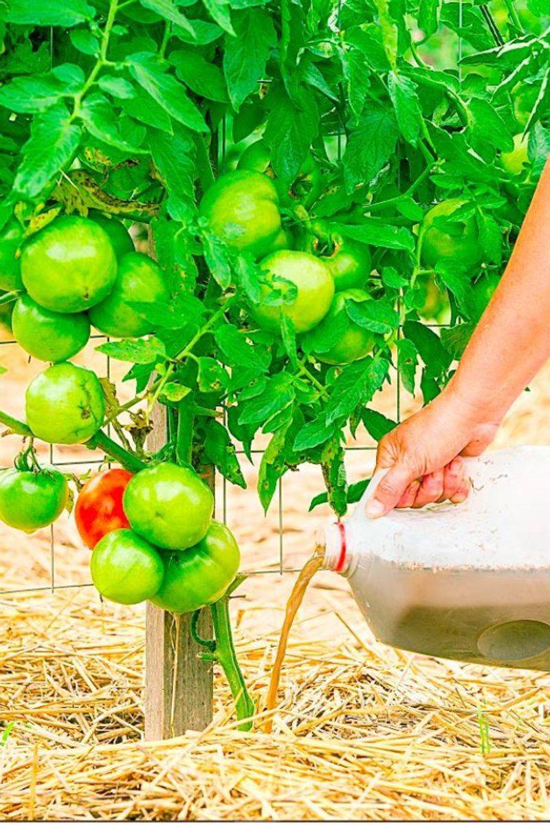 Vegetable Cooking Water