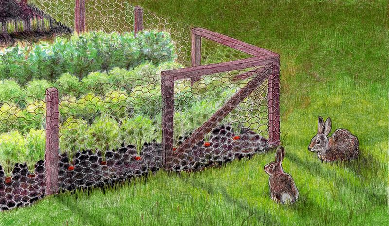 Protect From Deer and Rabbits