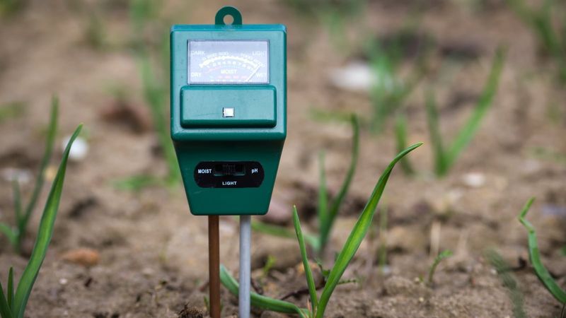 Test Your Soil pH First