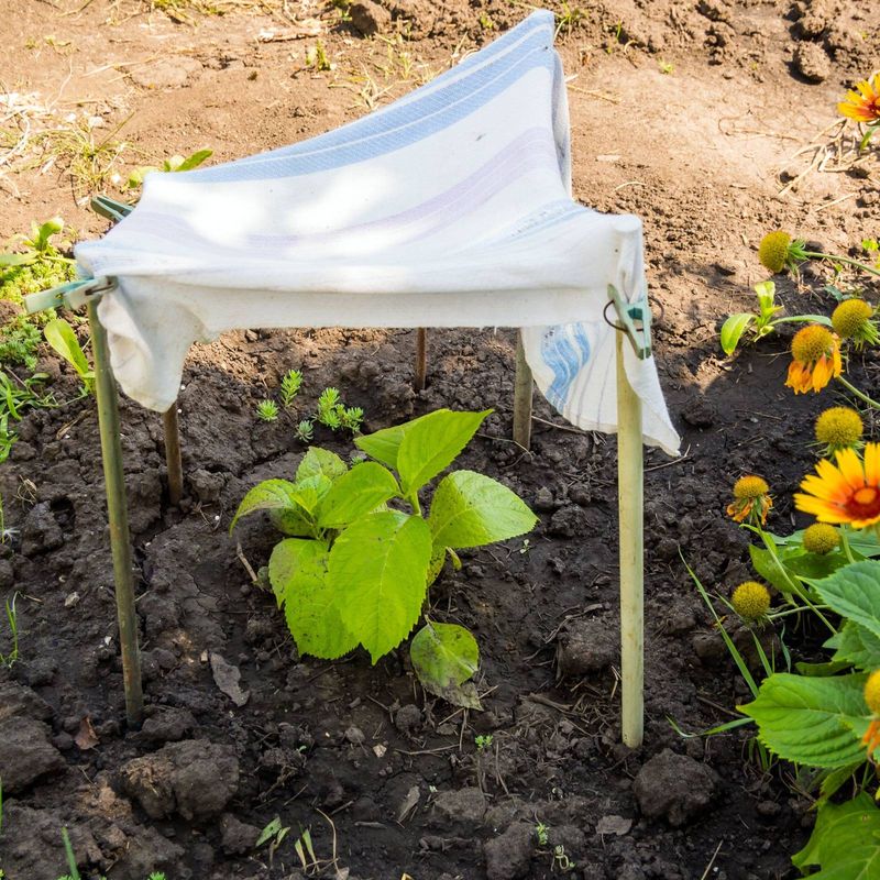 Use Shade to Reduce Heat Load