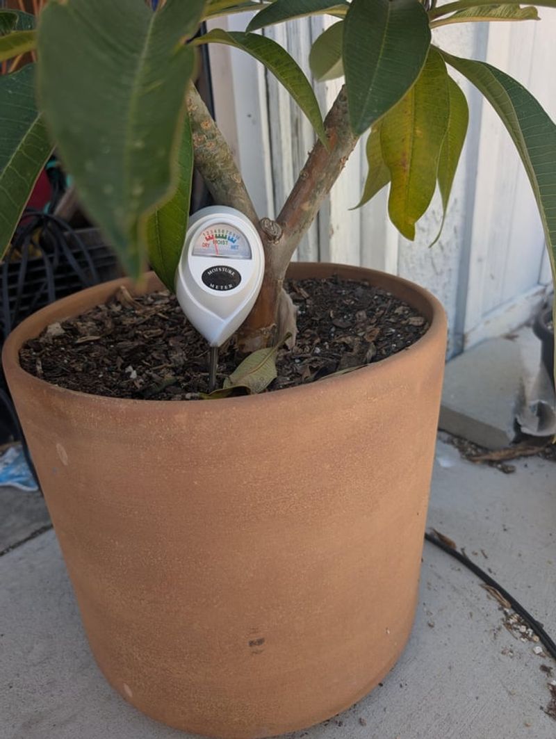 Water by checking the soil, not the calendar Water by checking the soil, not the calendar
