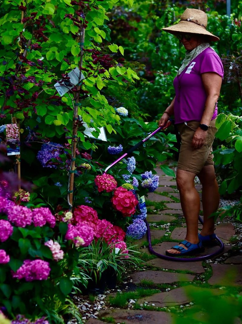 Water deeply at the root zone when the soil needs it