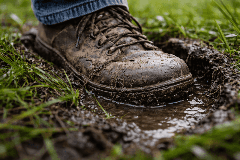 Your footsteps show whether the lawn is ready