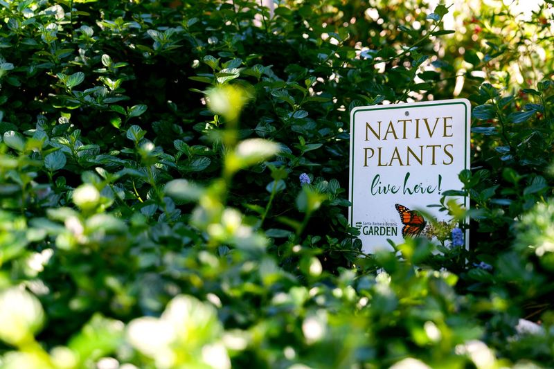 What California’s plant rules actually regulate
