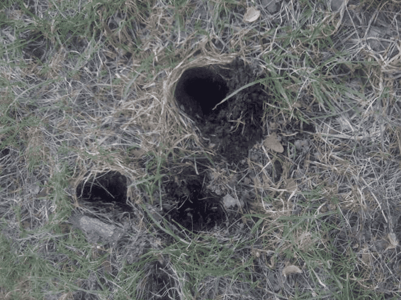 What cone-shaped holes can—and cannot—tell you What cone-shaped holes can—and cannot—tell you