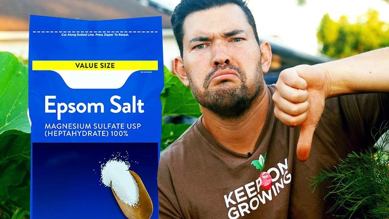 Why Epsom salt is not a dependable rescue