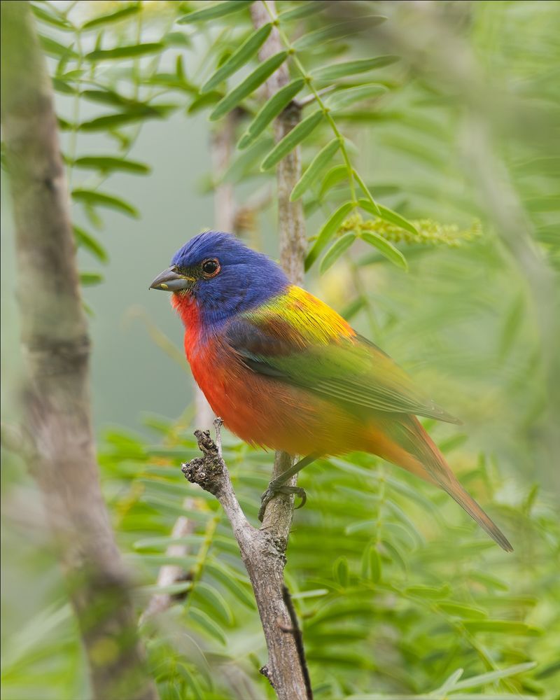 Why a first sighting feels extraordinary Why a first sighting feels extraordinary