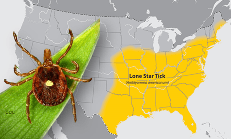 Why the North Carolina context demands caution Why the North Carolina context demands caution