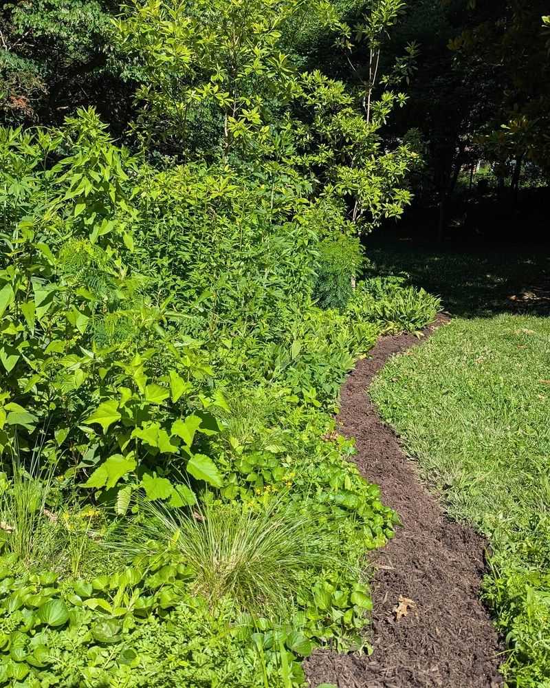 Wildlife-compatible choices for a garden bed Wildlife-compatible choices for a garden bed