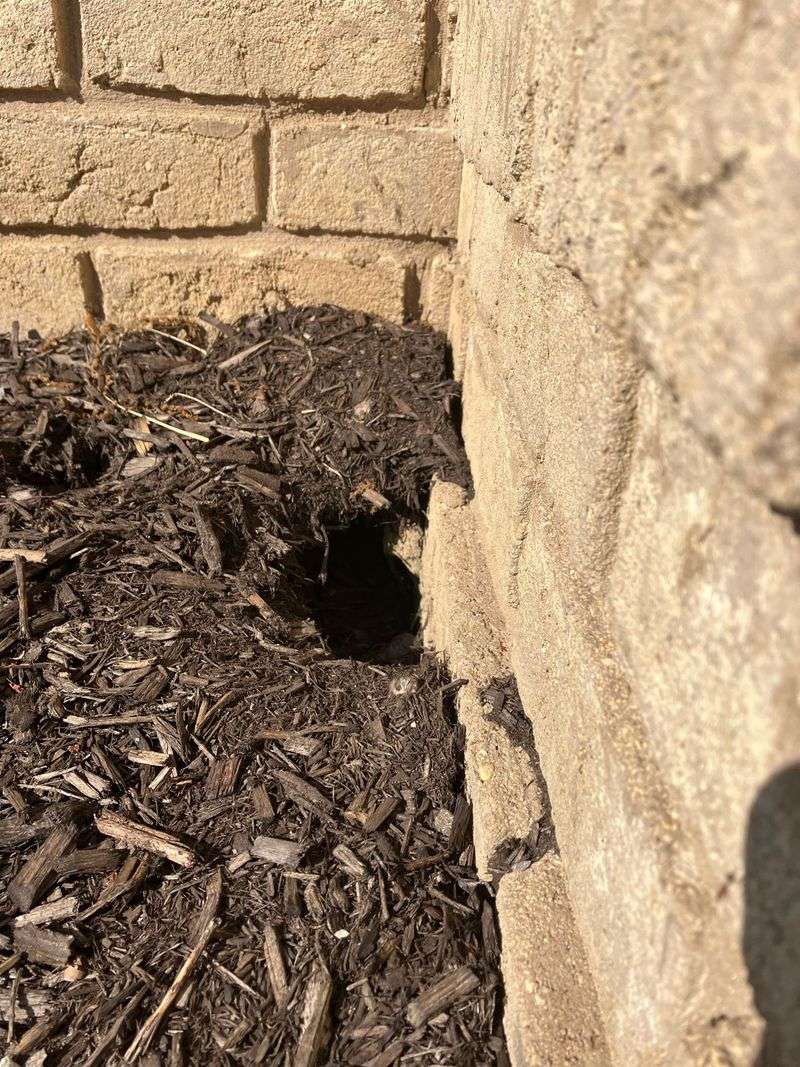 Holes and Burrows Near the Foundation